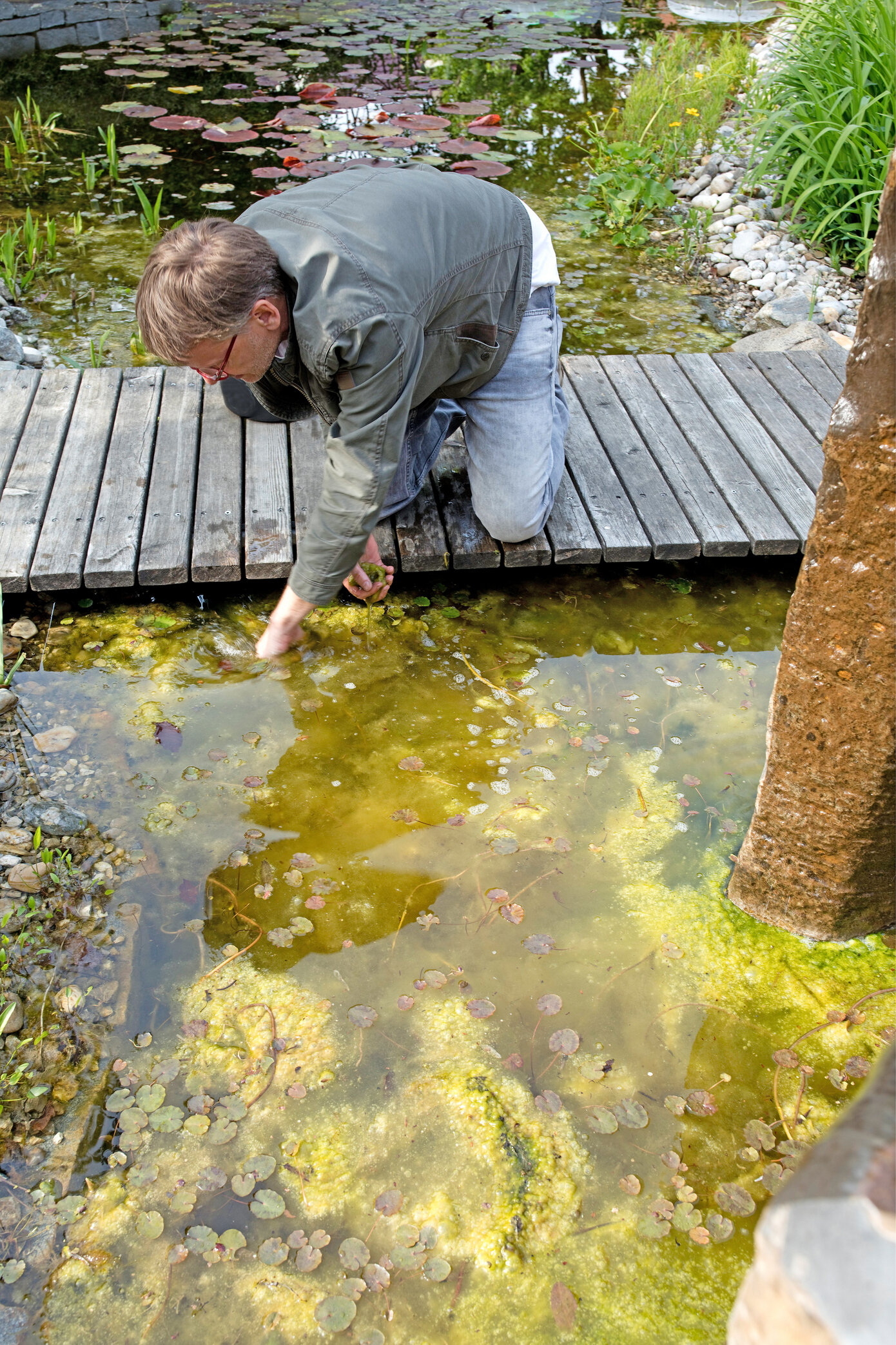 Naturteich Pflege im Sommer kraut&rüben 82022